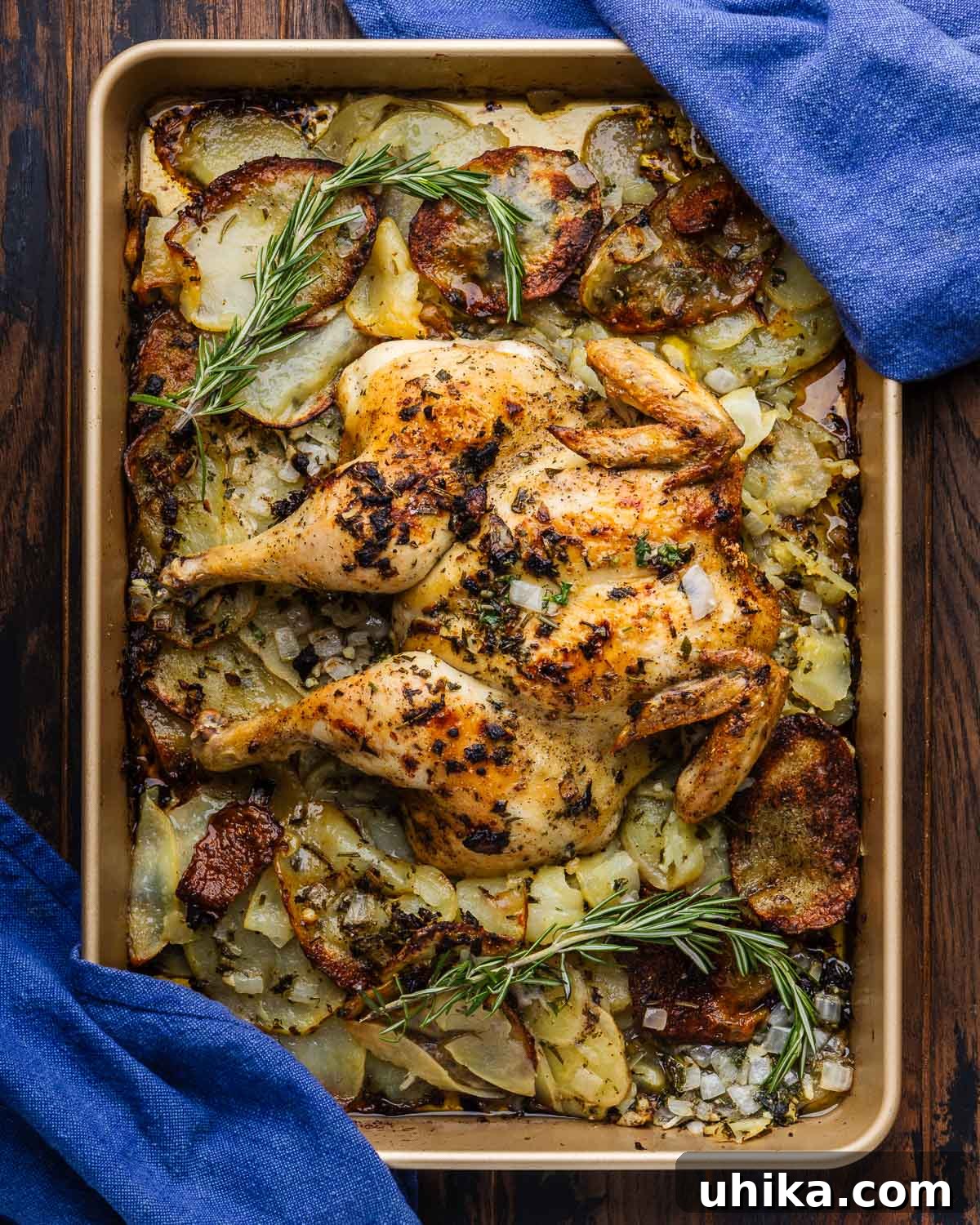 Golden Rosemary Spatchcock Chicken and Crispy Potatoes 6 Beautifully roasted Spatchcock Chicken and Potatoes on a baking sheet, garnished with fresh rosemary and served with elegant blue napkins.
