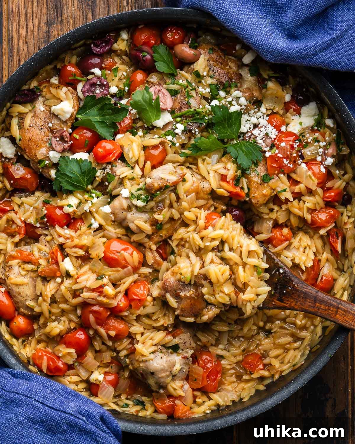 Zesty Mediterranean Chicken Orzo 2 A beautifully plated Mediterranean chicken and orzo dish, garnished with fresh parsley and crumbled feta, ready to be served.