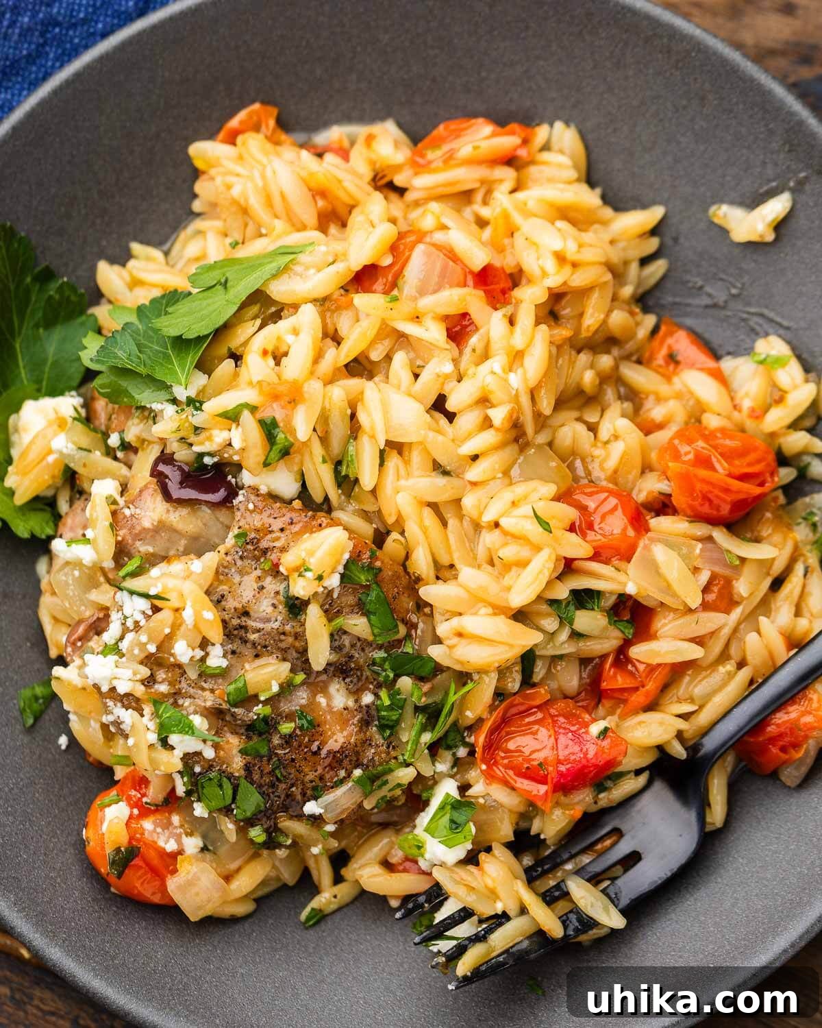 Zesty Mediterranean Chicken Orzo 6 A single serving of Mediterranean chicken and orzo presented on a modern grey plate, garnished with fresh herbs and a lemon wedge.