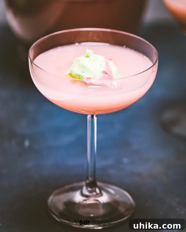 Fizzy Sherbet Delight 7 A single glass of Sherbet Punch, perfectly filled and crowned with an extra scoop of sherbet, sparkling and inviting.