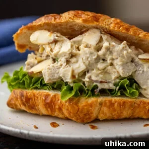 Zesty Honey Mustard Chicken Salad 7 Honey mustard chicken salad on croissant.