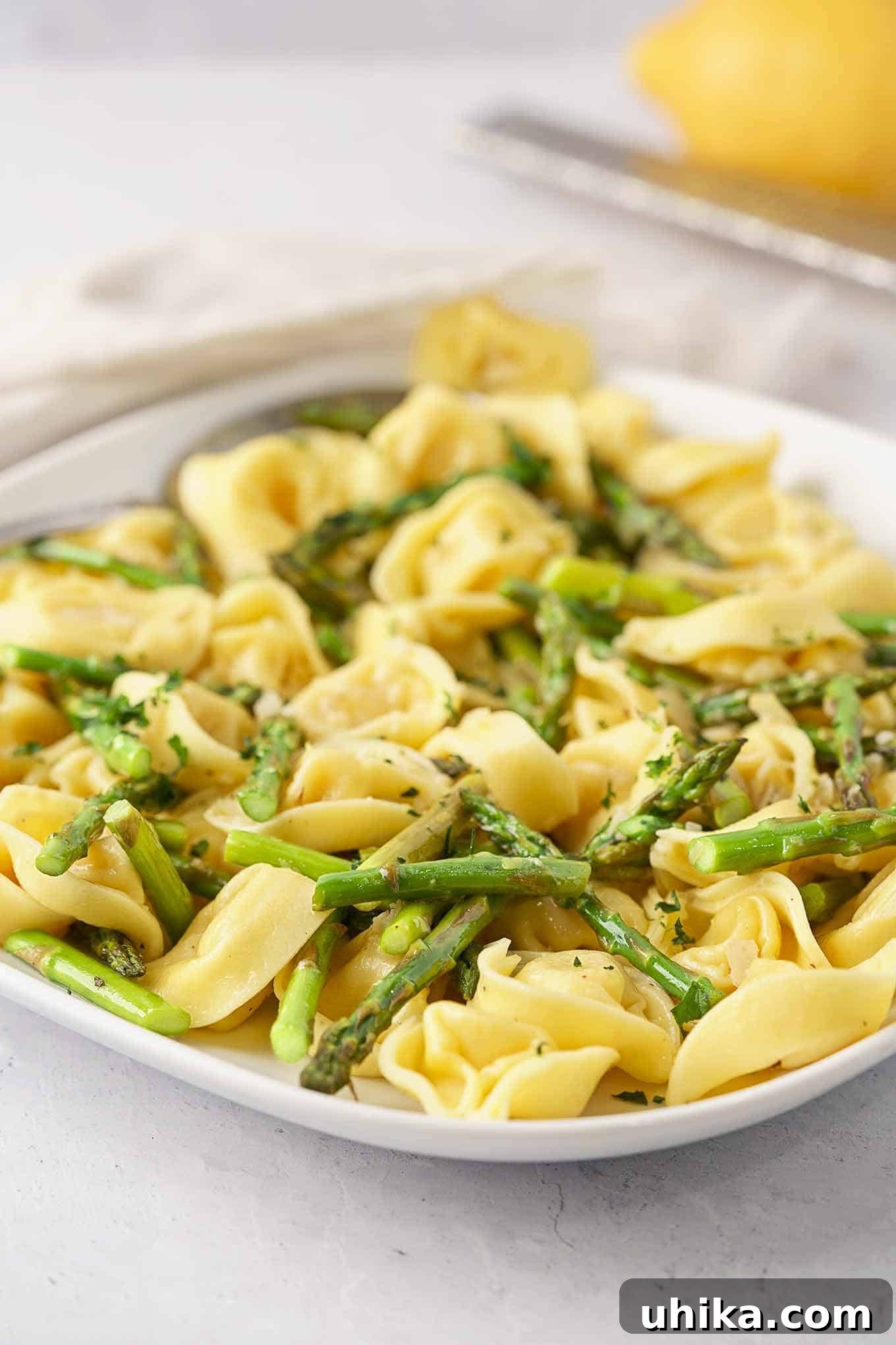 Savory Tortellini with Roasted Asparagus 2 A serving plate filled with delicate cheese tortellini tossed with roasted asparagus, lemon zest, parsley, and a light cream sauce.