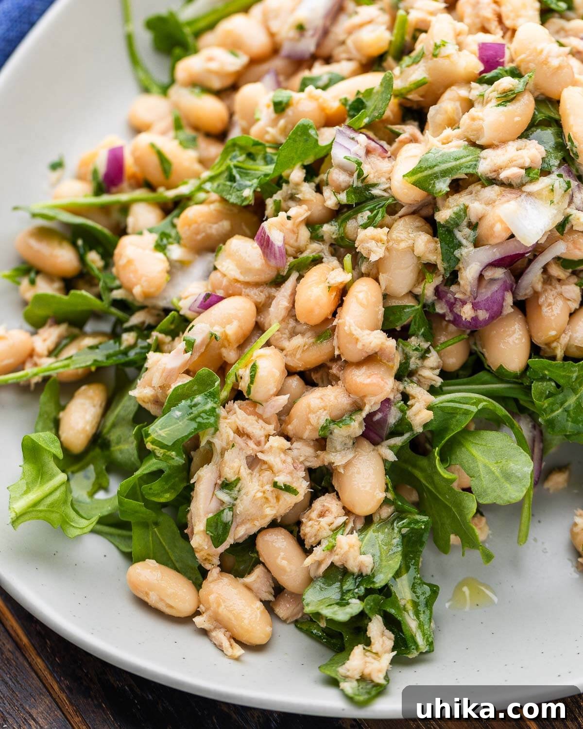 Tuscan Tuna and Cannellini Salad 2 A beautifully arranged Italian tuna salad with white beans, red onion, and parsley, served in a rustic bowl.