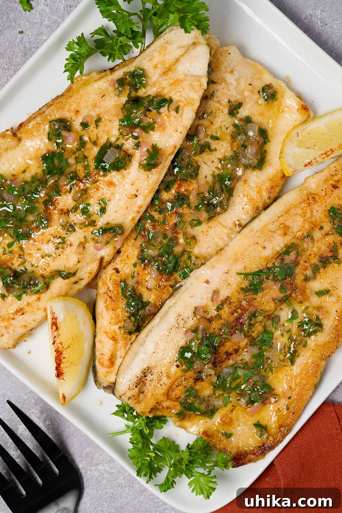 Quick and Easy Lemon Butter Trout 2 A serving plate of trout meunière topped with lemon, parsley, and minced shallot butter, garnished with lemon wedges and parsley. Discover how to make this classic French dish with fresh rainbow trout fillets.