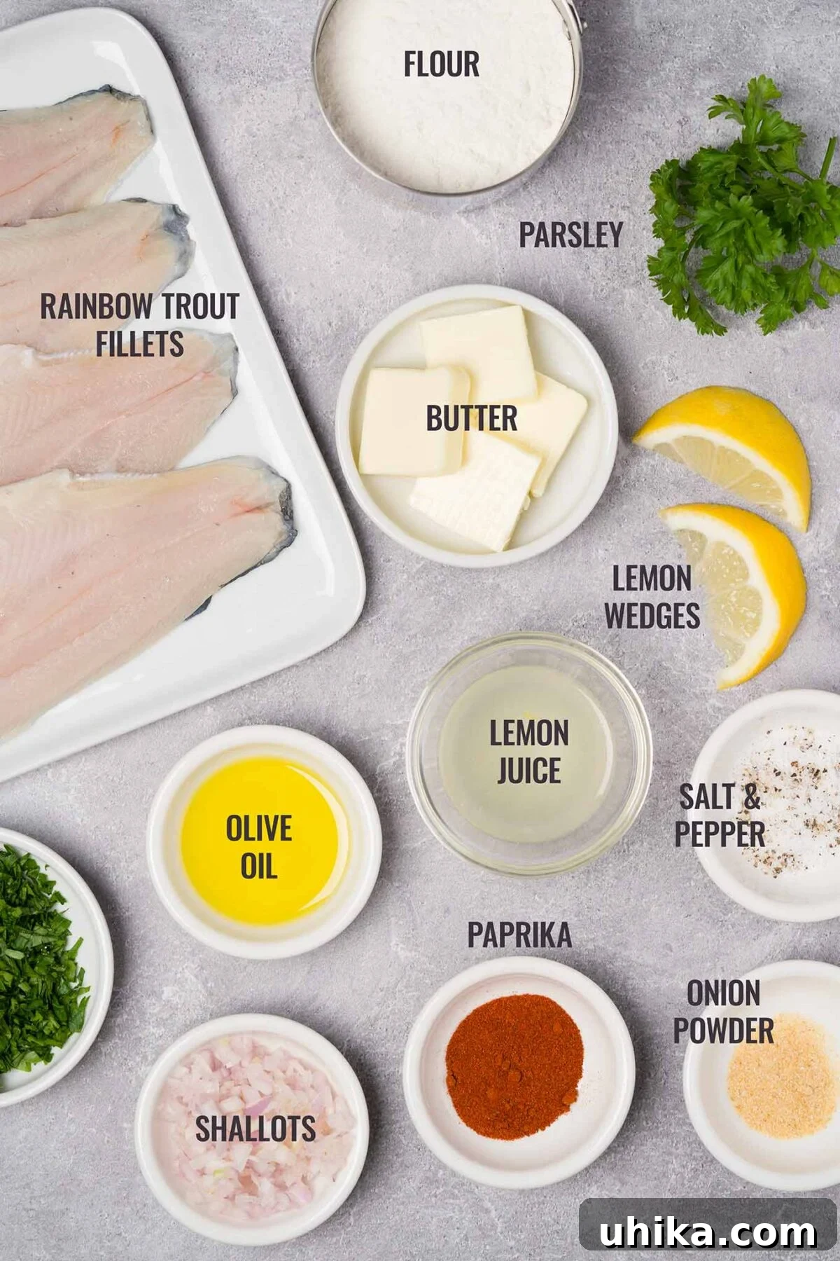 Quick and Easy Lemon Butter Trout 3 An overhead view of the ingredients needed to make trout meunière including rainbow trout fillets, lemon juice, shallots, parsley, and lemon. Essential components for a delightful meunière recipe.