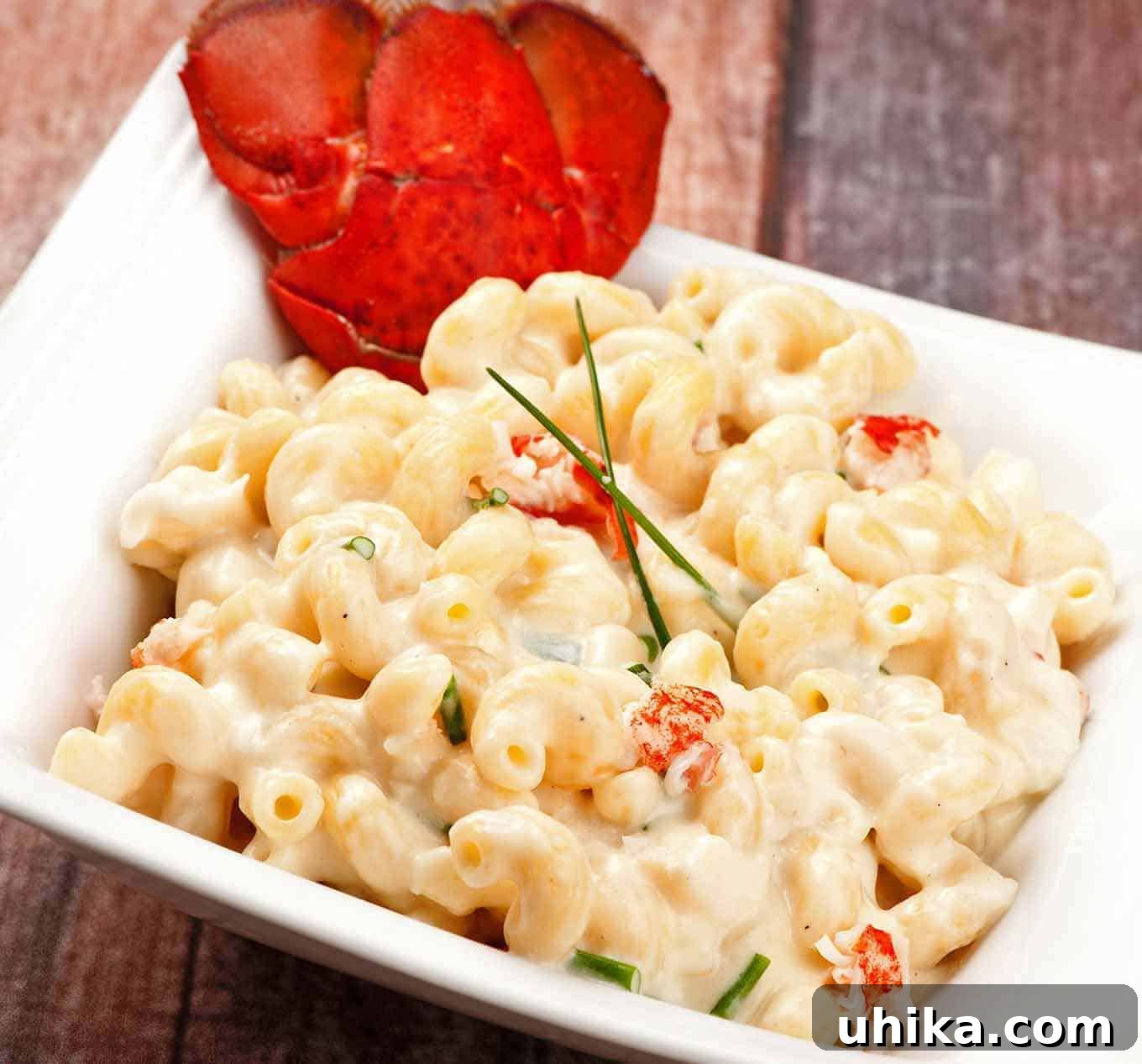 Gourmet Stovetop Lobster Mac & Cheese 2 Stovetop Lobster Macaroni and Cheese
