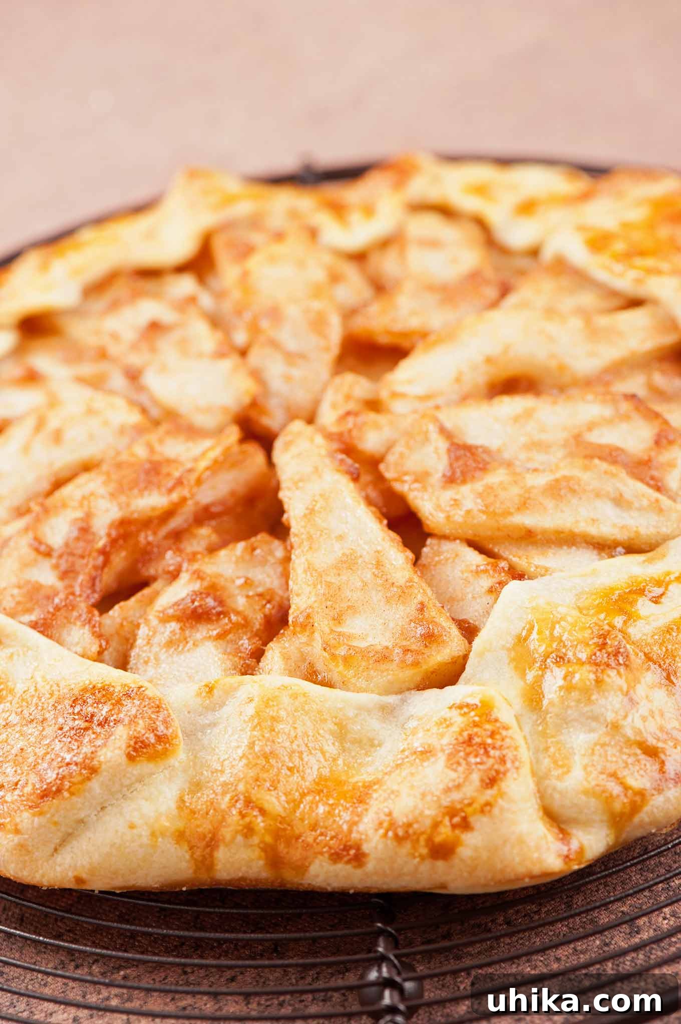 Sweet and Simple Pear Galette 3 Close up view of a pear galette showing cinnamon spiced slices of pear, and the golden brown crust with a slight sugar sprinkle.