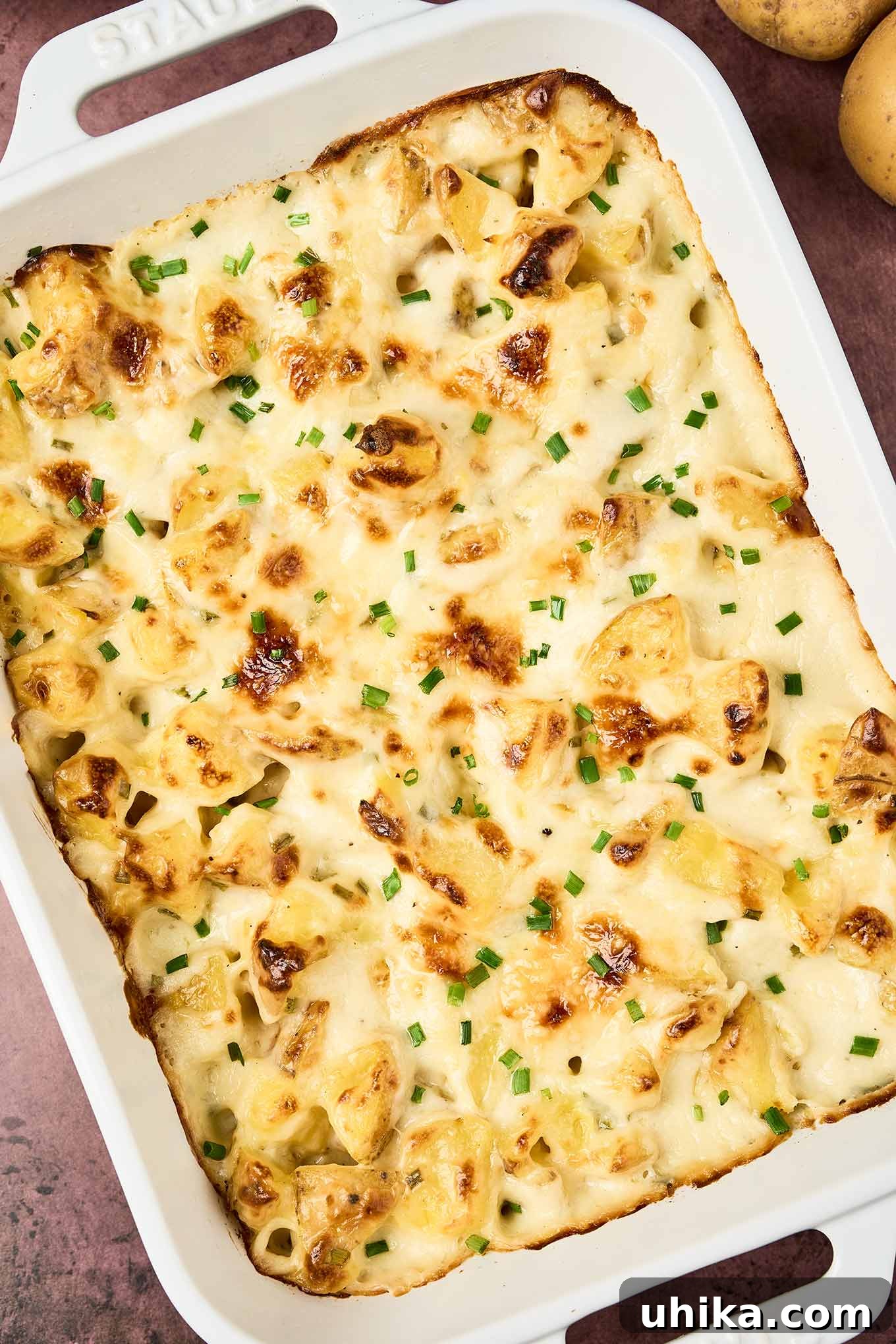 Creamy Cottage Potato Gratin 6 Close-up of a golden brown cottage cheese potato bake topped with melted cheese and fresh chives in a white baking dish.