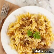 A single plated serving of rotini pasta with tossed with crumbled, sautéed Italian sausage and golden caramelized onions.
