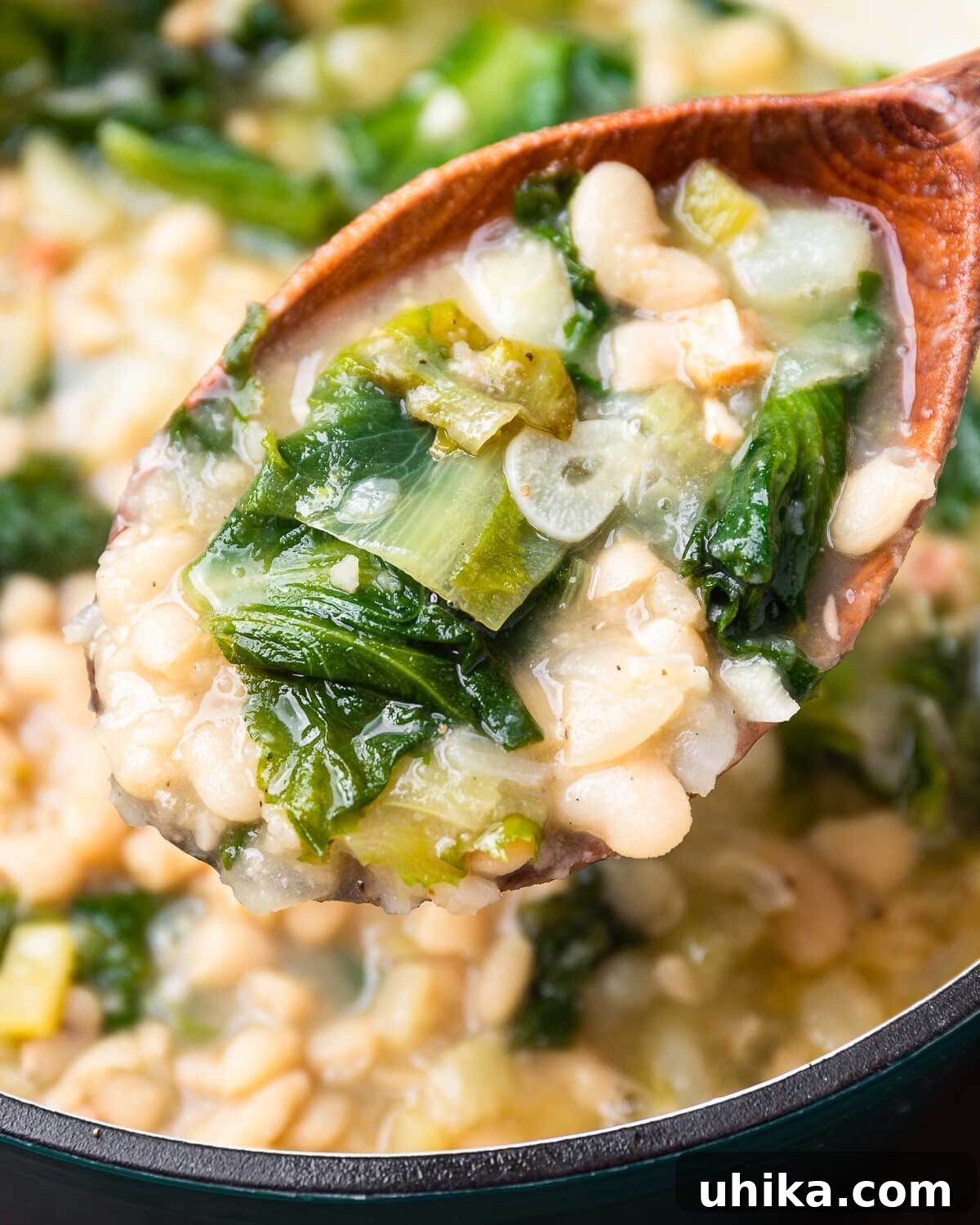 Soulful Escarole and Bean Comfort 2 A large wooden ladle filled with nourishing escarole and white bean soup, artfully garnished with fresh herbs and a swirl of olive oil, ready to be served.