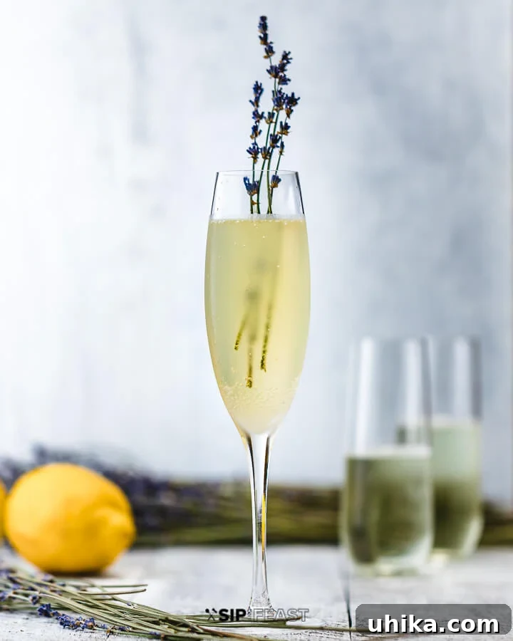 Lavender French 75 Cocktail - Aromatic Gin & Sparkling Wine Drink Glass of French 75 cocktail garnished with fresh lavender and a lemon peel, with more lemons and lavender in the background.