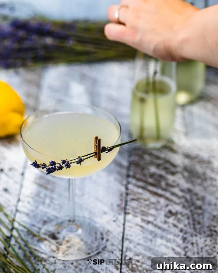 Garnishing Lavender French 75 Cocktails A glass of French 75 cocktail with lavender garnish, and hands in the blurred background arranging more lavender in other glasses.