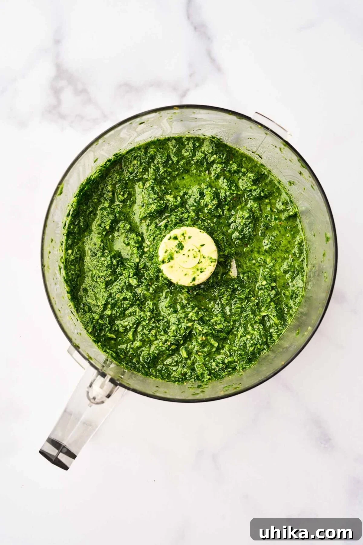 Zesty Homemade Chimichurri 4 Freshly blended chimichurri sauce in a food processor, made with parsley, cilantro, garlic, and olive oil.
