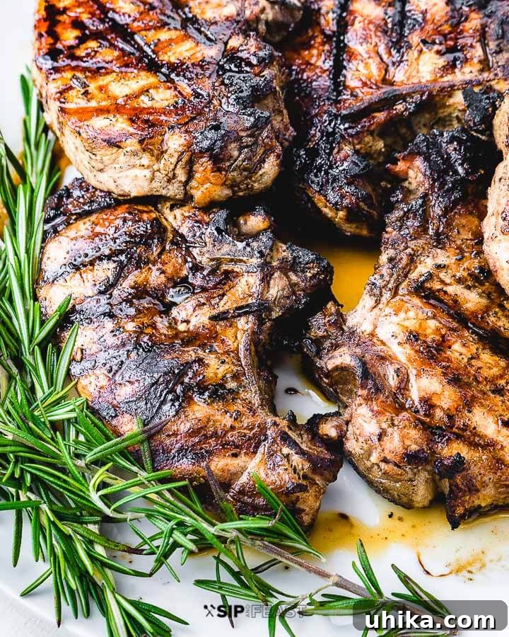 Perfectly Grilled Pork Chops 6 Four perfectly grilled pork chops presented on a white plate, adorned with fresh rosemary and a balsamic glaze drizzle.