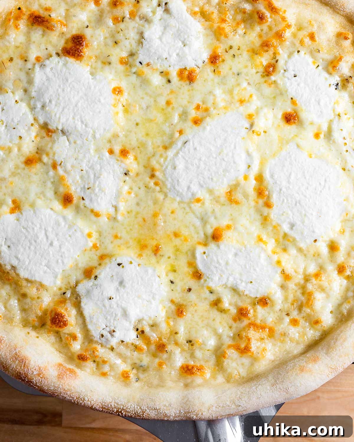 Creamy Garlic New York White Pizza 2 Classic New York-style white pizza held with a metal pizza peel, showcasing its golden crust and creamy cheese topping.