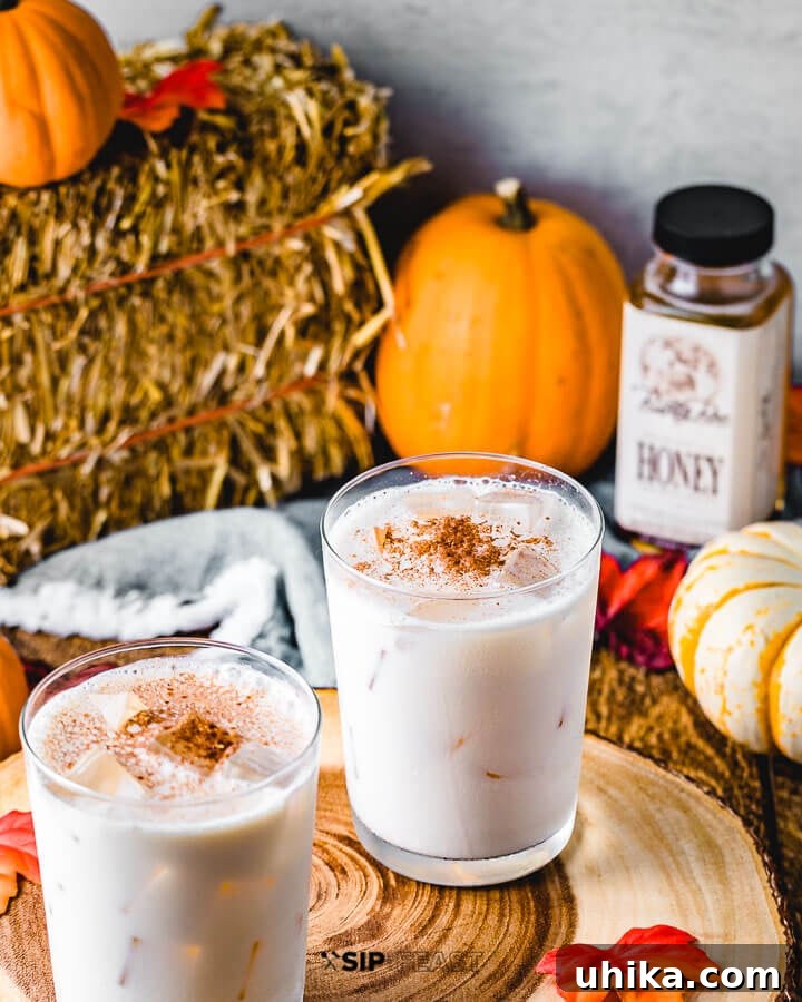 Pumpkin Spice Bourbon Velvet Punch 2 Two glasses of bourbon milk punch with pumpkins, honey, and a hay bale in the background.