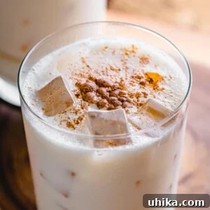 Pumpkin Spice Bourbon Velvet Punch 7 Pumpkin spice bourbon milk punch cocktail featured image.