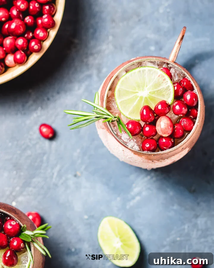 Cranberry Moscow Mule - sipandfeast.com #cranberry #winterdrinks #holidaydrinks An overhead shot showcasing a single Cranberry Moscow Mule cocktail, perfectly garnished, set against a serene blue background.
