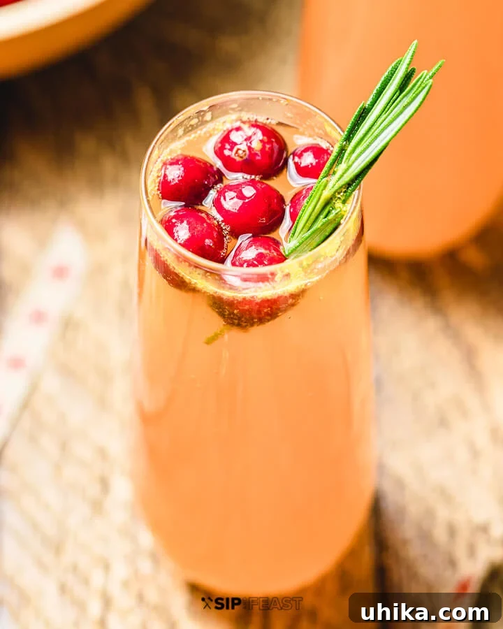 A close-up shot of a single cranberry mimosa in a champagne flute, beautifully garnished with fresh cranberries and a sprig of green rosemary, highlighting its festive colors and textures.