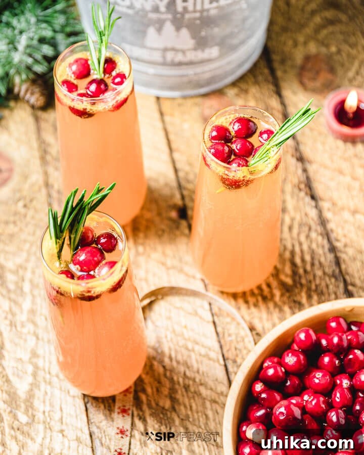 Three elegant glasses of cranberry mimosas, garnished with cranberries and rosemary, arranged on a table next to a bowl overflowing with fresh cranberries, creating a rich and inviting display.