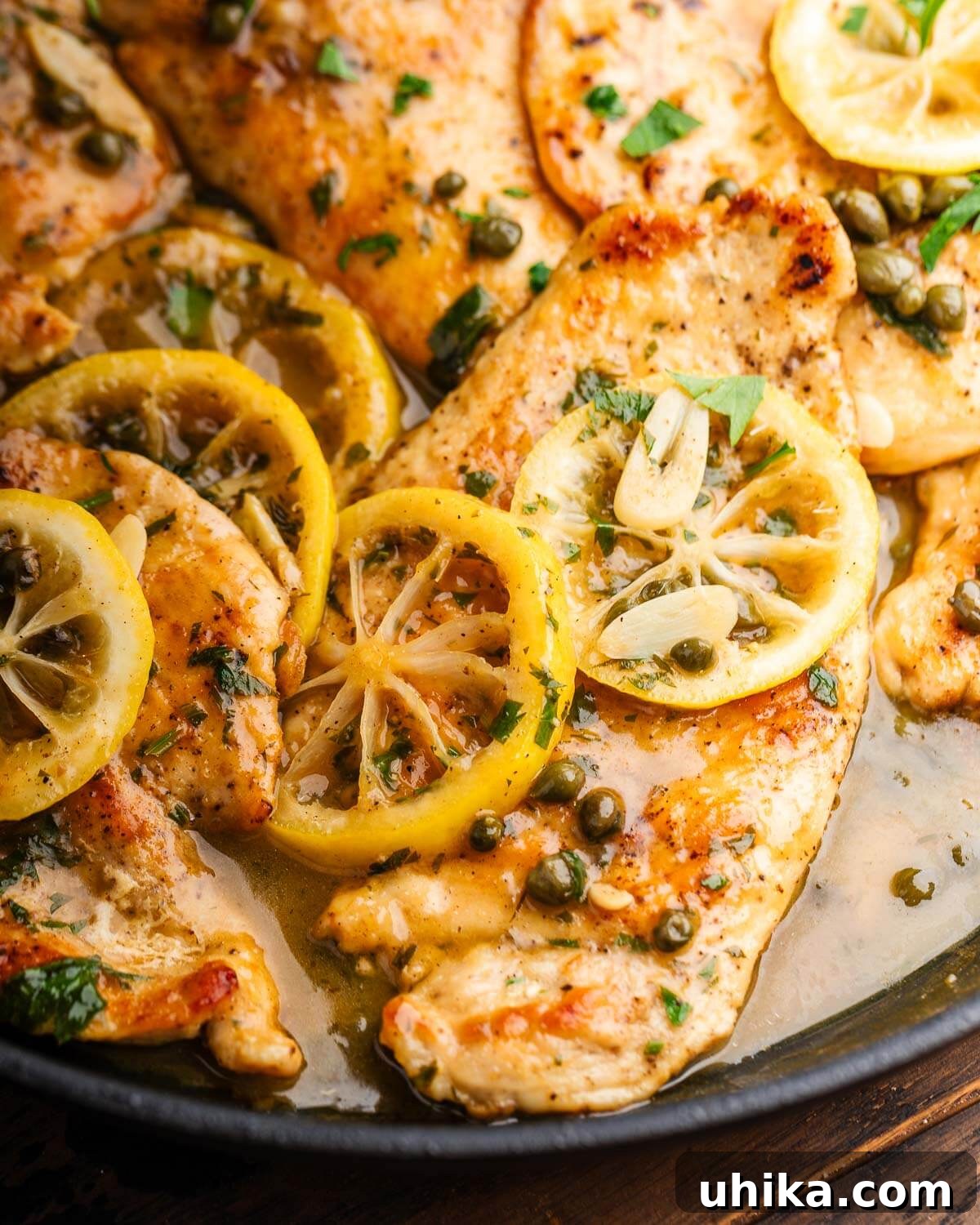 Zesty Lemon Caper Chicken 5 Closeup shot of sunlit chicken piccata.