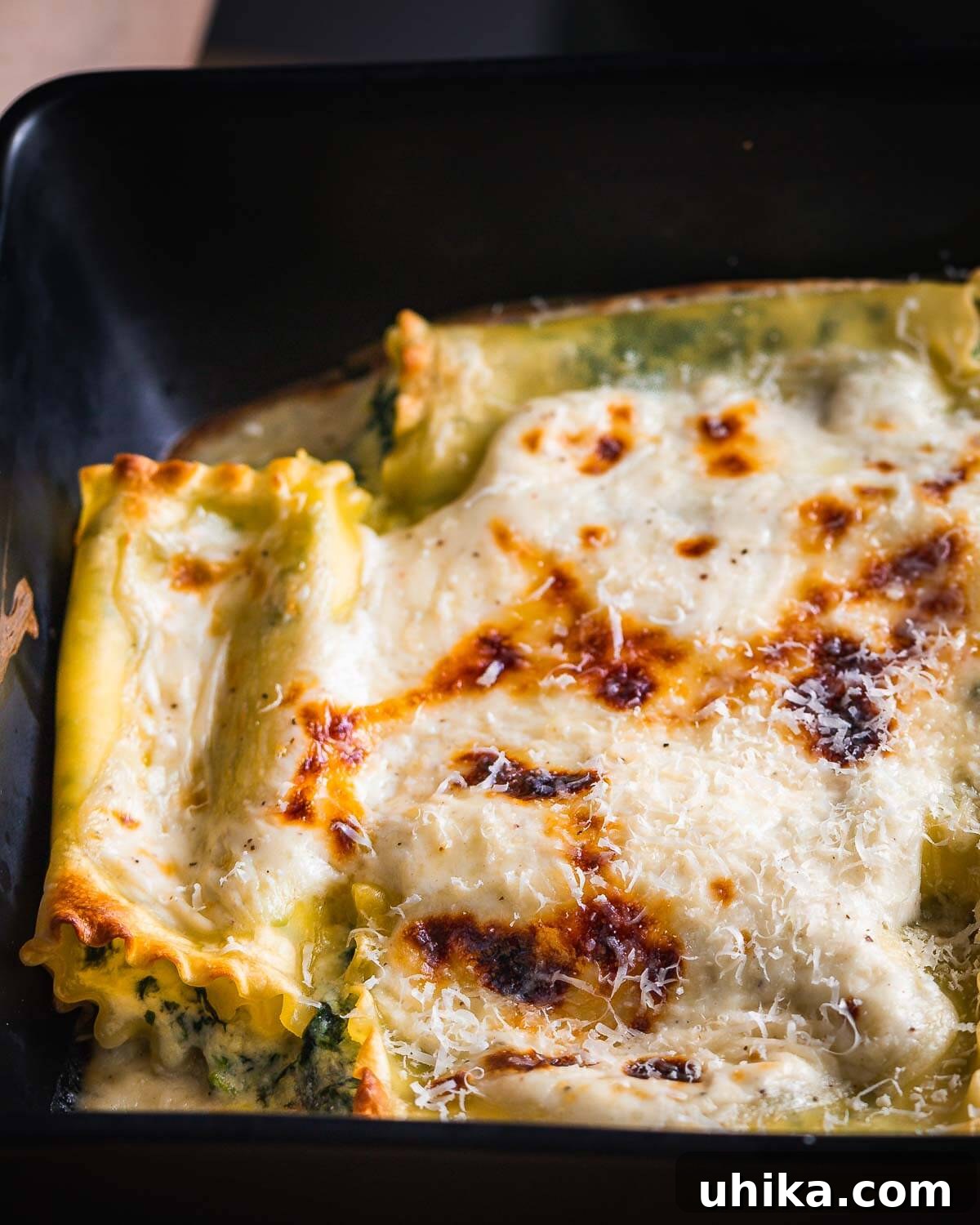 Creamy Spinach Lasagna Rolls 2 Spinach lasagna rolls with white sauce in a black baking dish, ready to be served.
