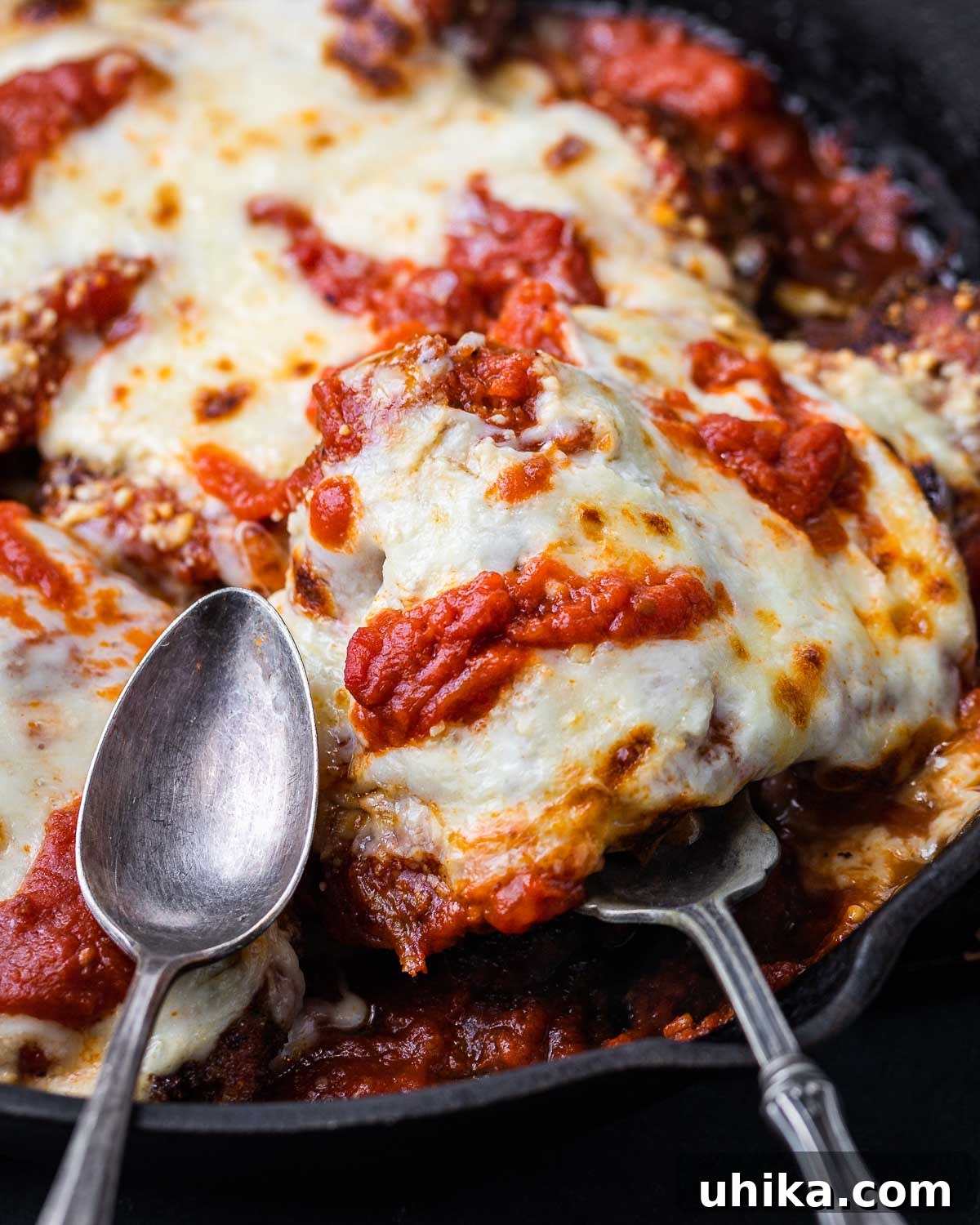 Chicken Parmigiana 2 Scooped Chicken Parmigiana with melted cheese and rich tomato sauce.