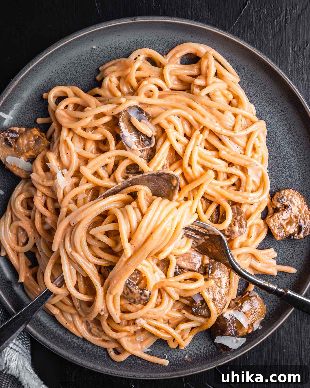 Brandy-Infused Mushroom Cream Spaghetti 2 Mushroom brandy cream sauce spaghetti in grey plate on black board.