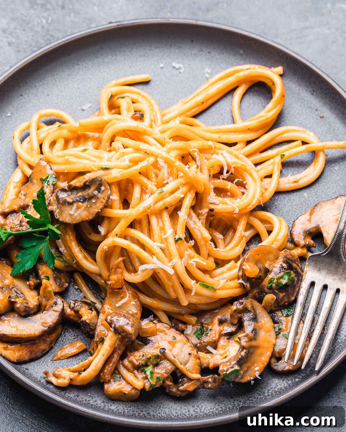 Brandy-Infused Mushroom Cream Spaghetti 7 Brandy mushroom cream sauce pasta in plate with sprinkle of parsley and cheese.
