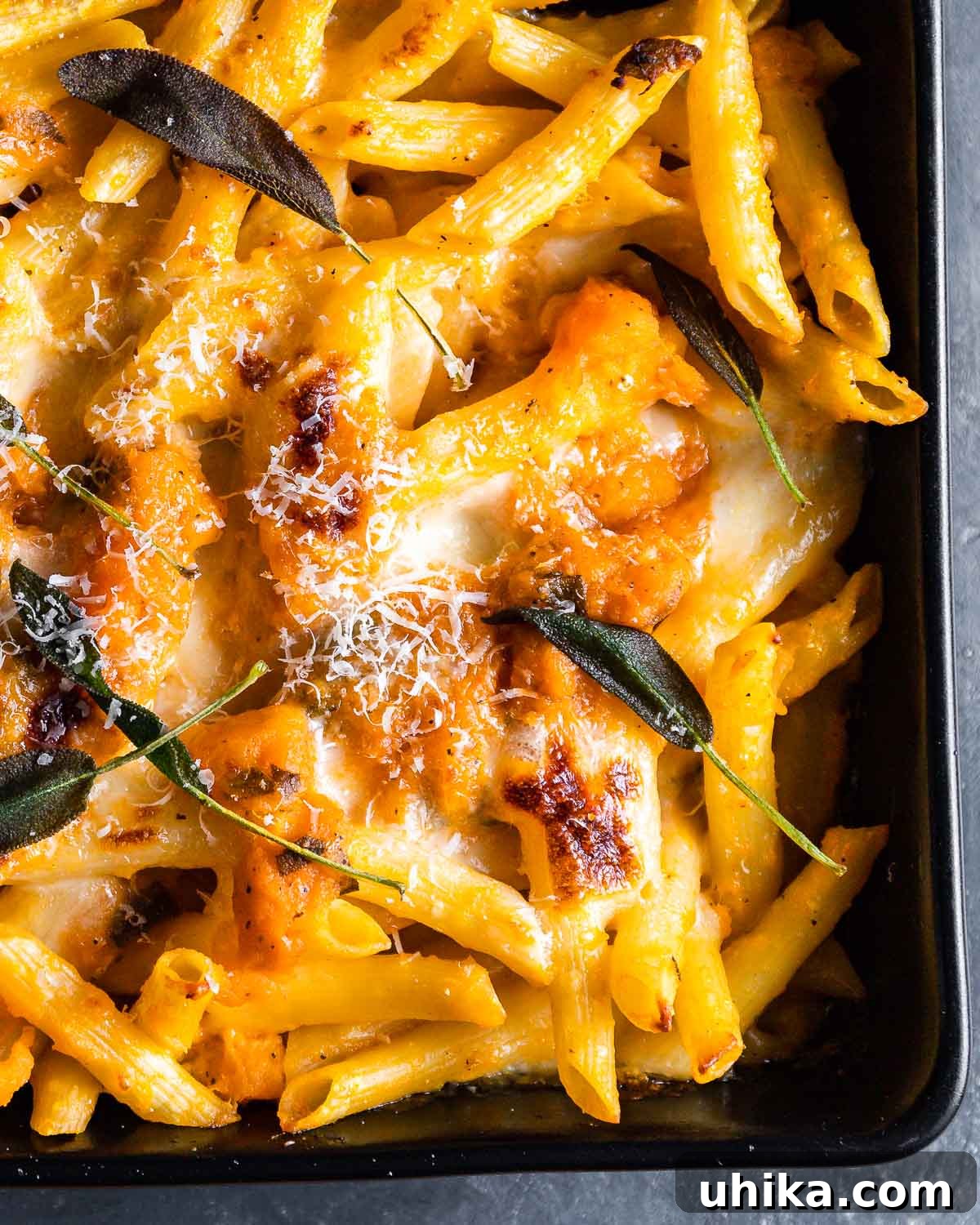 Golden Butternut Pasta Bake 9 Close up shot of baked butternut squash pasta with crispy fried sage leaves on top.