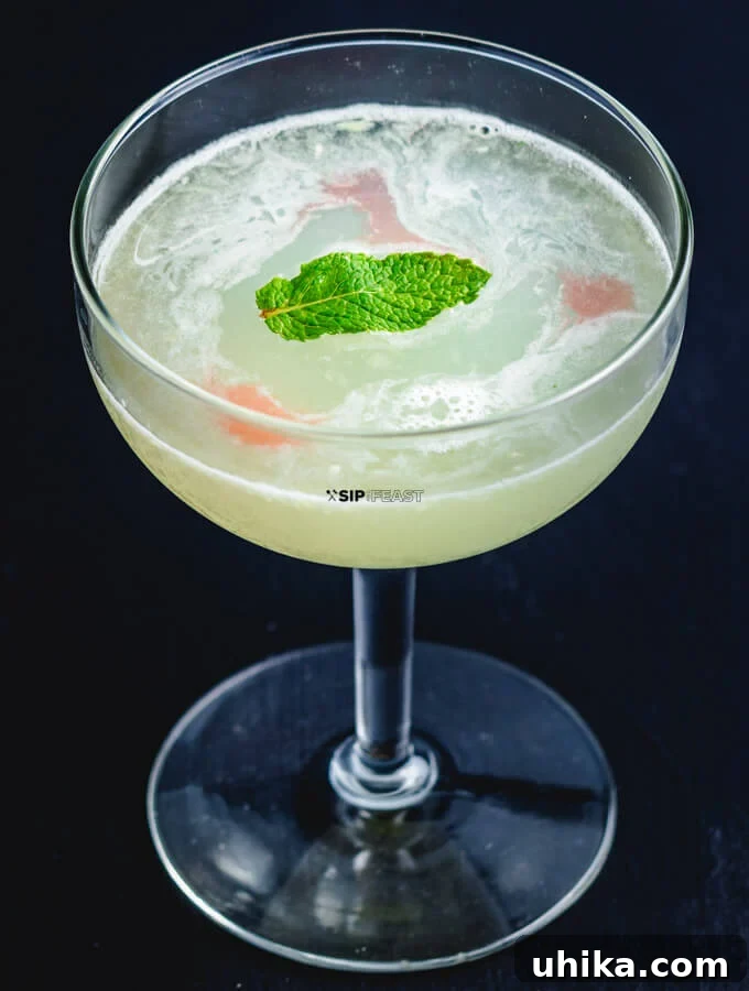 Star-Crossed Elixir 2 A vibrant Juliet and Romeo cocktail featuring lime, gin, cucumber, and a hint of rosewater.