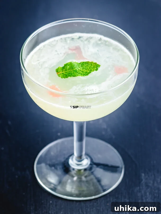 Star-Crossed Elixir 6 The final presentation of the Juliet and Romeo cocktail, adorned with a mint leaf and strategically placed bitters.