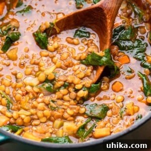 Italian lentil soup featured image.