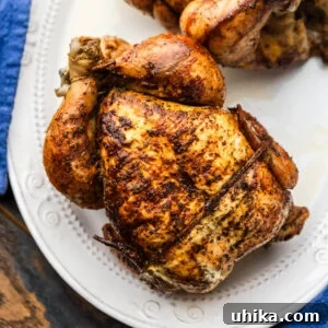 How to Make Authentic Rotisserie-Style Chicken at Home 8 Two rotisserie chickens on white platter.