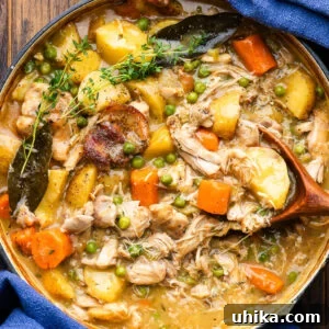 Hearty Chicken and Potato Stew for Cozy Weeknight Dinners 6 Hearty chicken potato stew in Dutch oven.